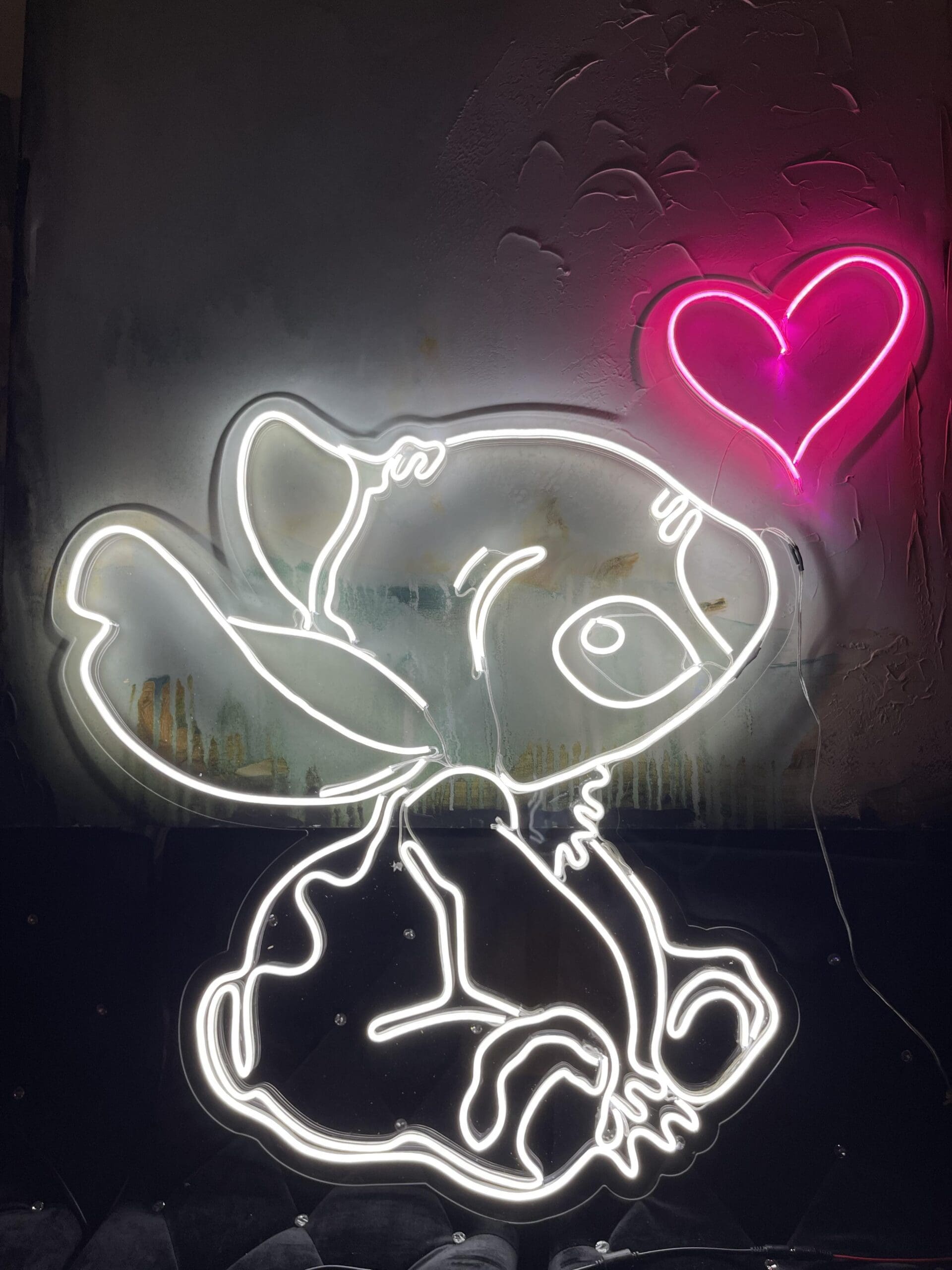 Custom LED neon sign Vancouver example 23